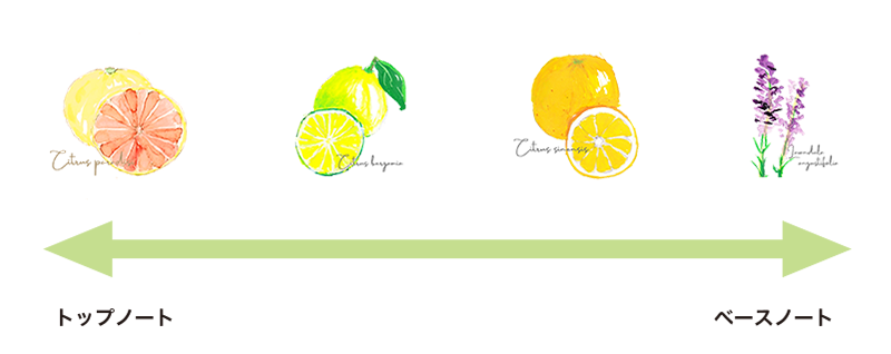 citrusimg